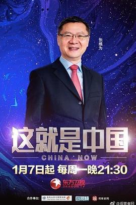 策驰影视电视剧免费全集在线看2024年上映